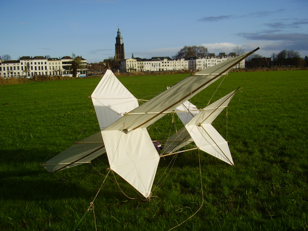 Ickx Kite Vlieger